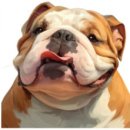 원탑메디텍 | 봄봄과 함께하는 결혼 준비