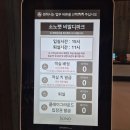 소노펫 객실 후기 | 홍천 소노펫 실버 객실 솔직 리뷰