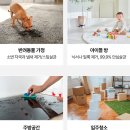 스팀파워하나로클럽 | 비쎌 파워프레시 2IN1 반려동물 스팀청소 후기 모음·32% 할인 정리