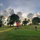 골프 레슨 수강생 모집 (Penang golf club 부킷잠블) 이미지