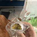 둔산남로91번길 | 대전 1박 2일 여행 성심당 맛집 숙소 추천 웨이팅 내돈내산