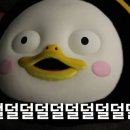 정돈가 이미지