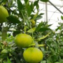 석화농장 이미지