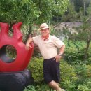 한가한오후 이미지