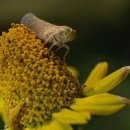 도원태권도체육관 이미지