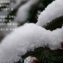 둥근집 이미지