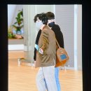 탐나개 이미지
