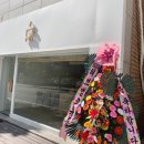 멜티브라운 이미지