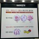 자은뒷고기