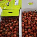 광산구-038 Daum카페