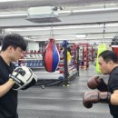 강남복싱클럽 이미지