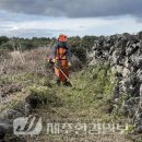 행원환해장성 이미지