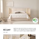 우방3차 | 금성침대 대구 침대 매트리스 전문점 [ 구미 형곡동 우방3차 ] KS1119 에코드림