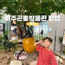 여주박물관 | 부산 여주곤충박물관 팝업 아이랑 주말 방문 후기!