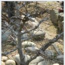 용골횟집 이미지