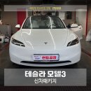 172 | 의정부 테슬라 모델3 하이랜드 신차패키지, 1인샵 대표 시공 버텍스900 후기