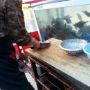 사계절펜션형민박 이미지