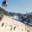 초보자를 위한 ChatGPT 정복하기 | 겨울 스포츠 정복하기! 초보자가 비발디파크에서 신나게 배우는 비법