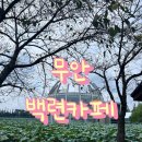[무안]백련카페-연꽃처럼 예쁜 남악카페, 무안카페 아이들과 다녀온 후기