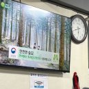 묵은지 삼겹살&매운갈비찜 | [빨간삼겹살] 강릉 중앙시장 매운갈비찜 맛집 솔직 후기 주차 금요일 웨이팅 시간