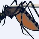 서울동물심장병원 이미지