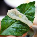 윤희네농장 이미지