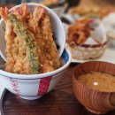 쿠마1418 이미지