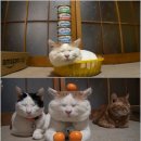 무념무상 이미지