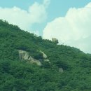 연곡리 비로자나불상 | 보은여행 속리산 법주사 국보 팔상전 보물과 문화재가 넘치는 사찰