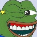 에스엔피 이미지