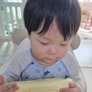 복담 | 브라운 붉은말띠새해에디션 신생아 출산 선물 추천 아기물티슈