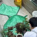 경기도 수원시 팔달구 세지로365번길 | 수원 출장분갈이 후기 | 광교 사무실 화분 15개 한 번에 관리한 이유