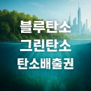 블루탄소, 그린탄소, 탄소배출권이 뭐길래? 기후위기 시대의 생존 전략