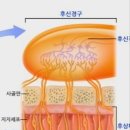 삼가3통 이미지