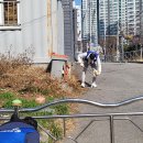 다대2동-10 Daum카페