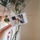 영머리방 이미지