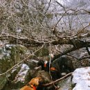 성진메드 이미지