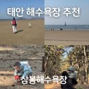 지에스25안면백사장항점 | 태안 안면도 삼봉해수욕장 가족여행 주차 해루질 근처 실내 2곳 추천