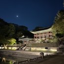 청덕차유리 | 2024 창덕궁 달빛기행 야간개장 2부 후기 기본정보 예약 방법