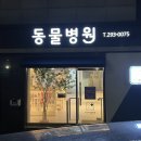 우리애동물병원 | 봉담 우리애동물병원 반려견 예방 접종