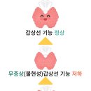 팀터틀랫유성 이미지