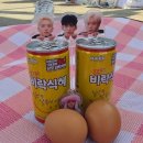 뉴고래고래노래방 | 세븐틴 캐럿 짝짝 NEW_ 냥콘 그 첫째날. . . 에스쿱스 좋아하는 여자들 출신이 쓰는 후기