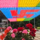 청계사 - 891 | 청계사