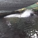 무지개회집 이미지