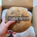섬김유통