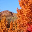 북원로6 이미지