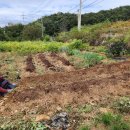 두루농장 이미지