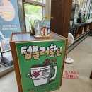 힐링 포레스트 | 노원 불암산 나비정원 속 힐링카페, 카페 포레스트 2번째 방문후기