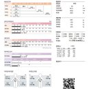 터치벨라