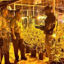 남미농장 이미지